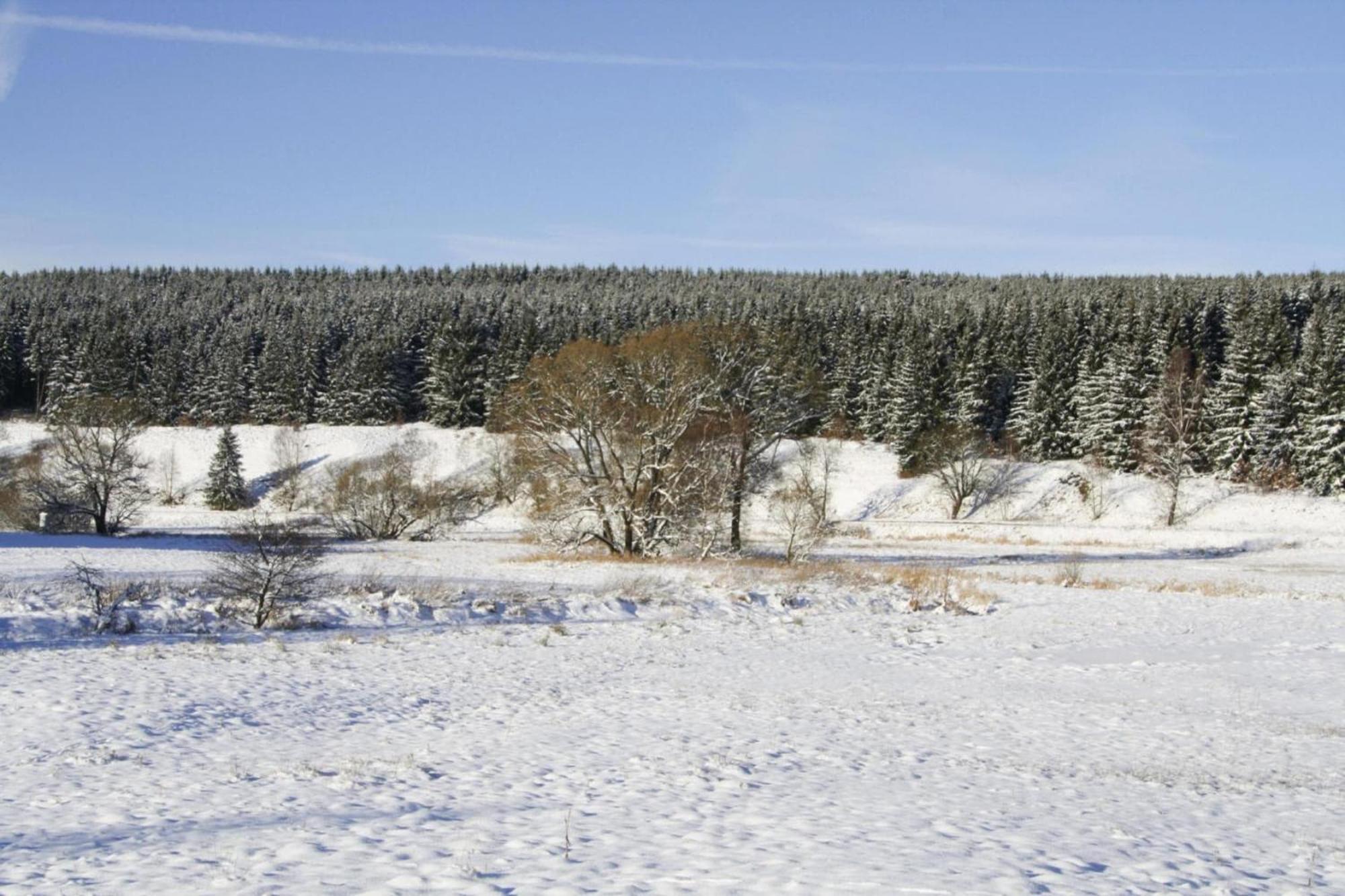 Apartment Braunlage Eksteriør billede