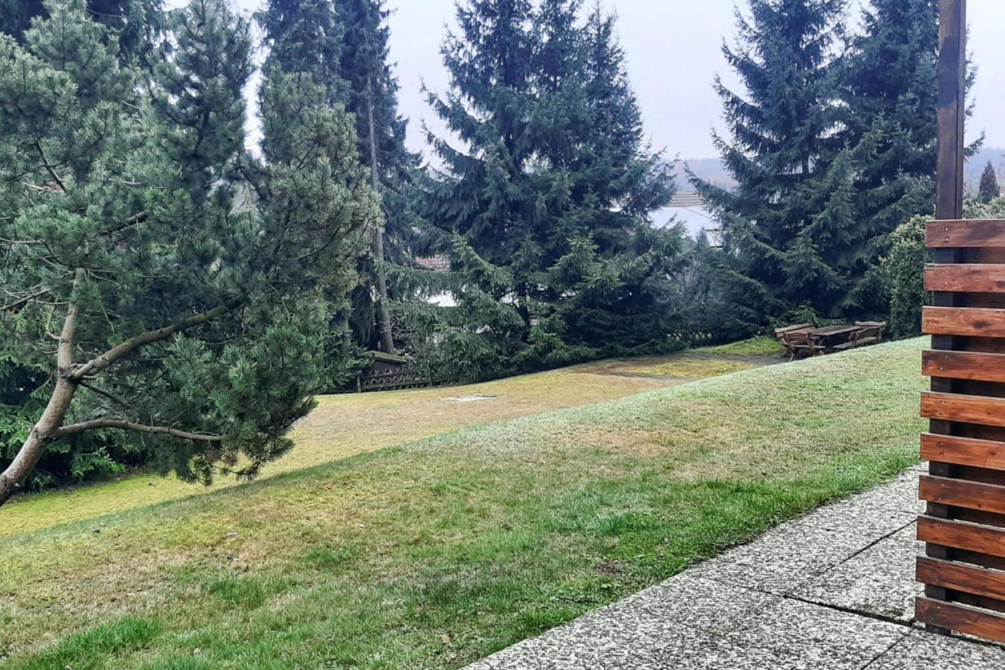 Apartment Braunlage Eksteriør billede